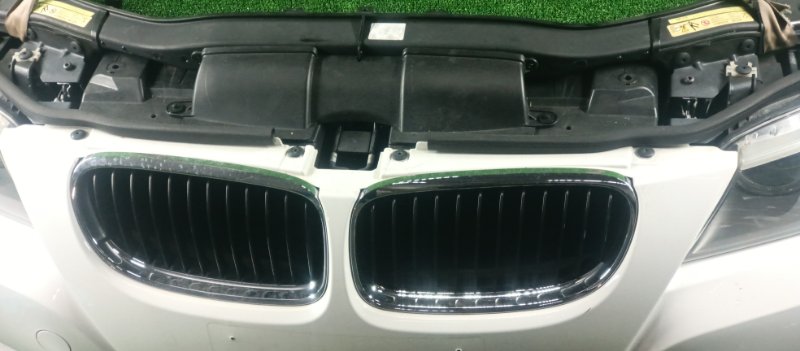 Ноускат, 78000 рублей, Фроловское