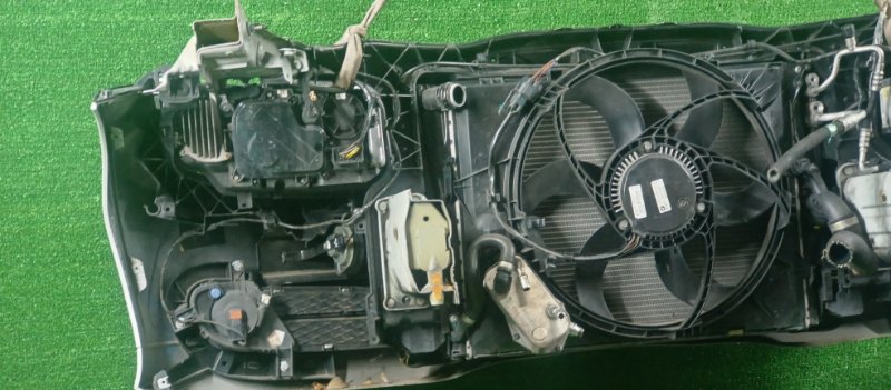 Ноускат, 78000 рублей, Фроловское