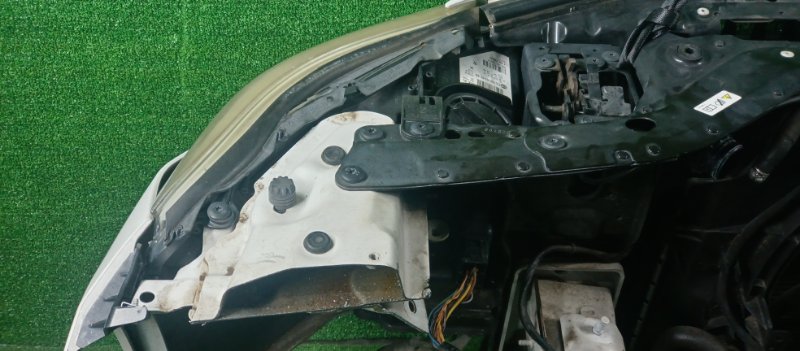 Ноускат, 255000 рублей, Фроловское