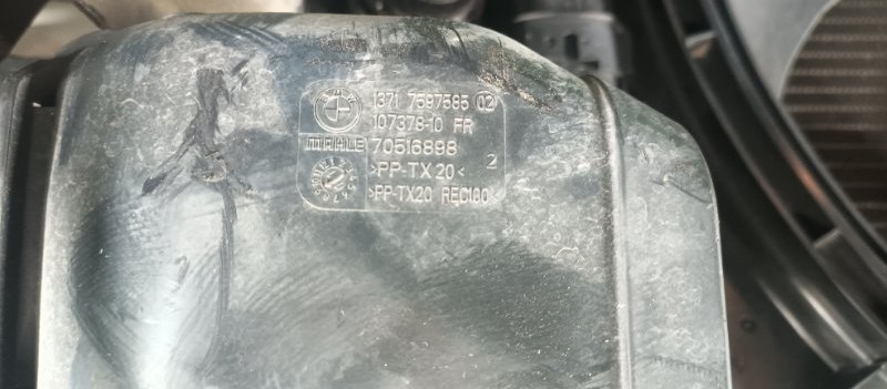 Ноускат, 78000 рублей, Фроловское