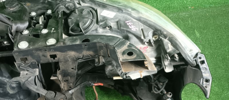 Ноускат, 78000 рублей, Фроловское