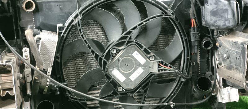 Ноускат, 78000 рублей, Фроловское