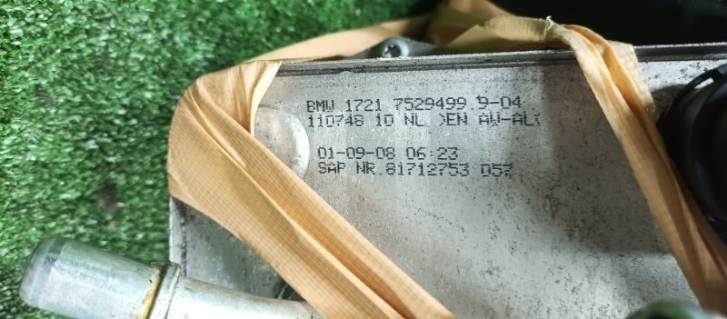 Ноускат, 52000 рублей, Фроловское