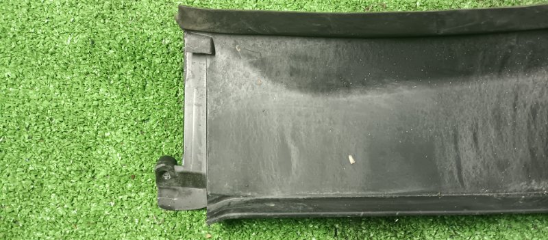 Накладка кузова, 1000 рублей, Фроловское