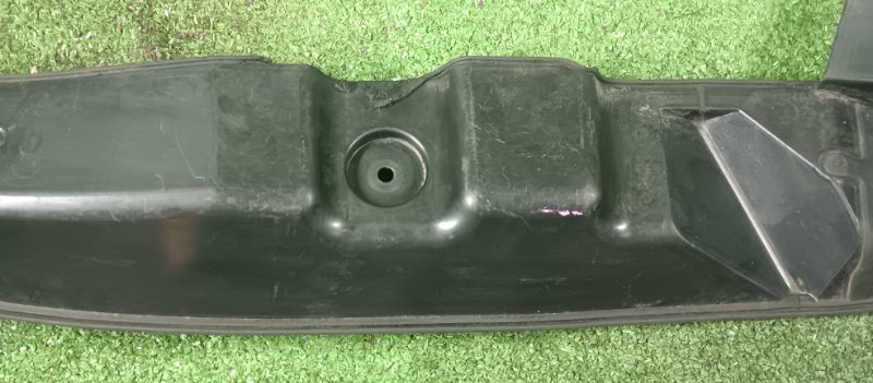 Пыльник крыла, 800 рублей, Фроловское