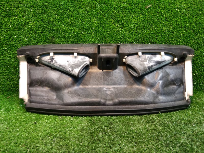 Накладка кузова, 1000 рублей, Фроловское