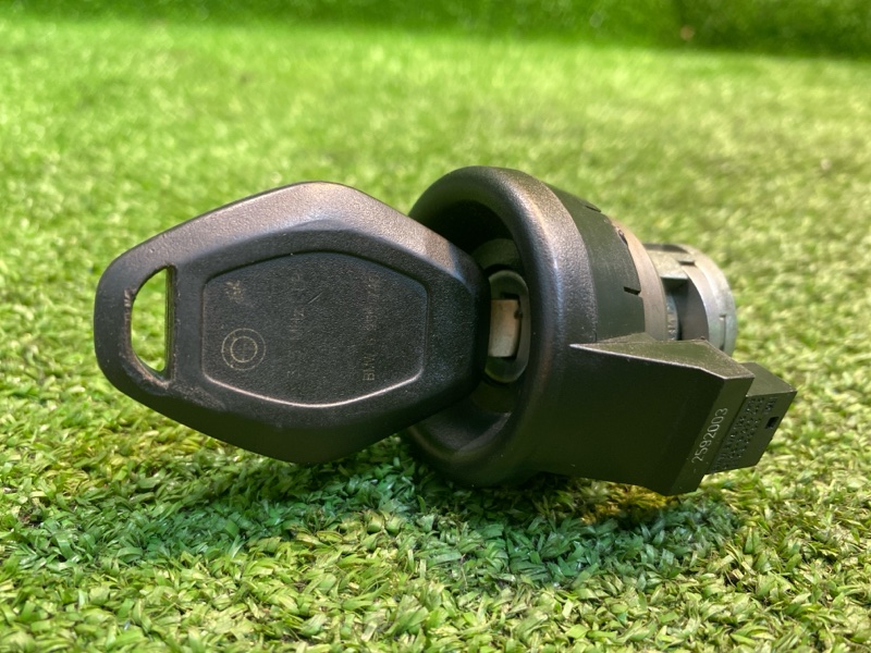 Личинка замка зажигания, 2500 рублей, Фроловское