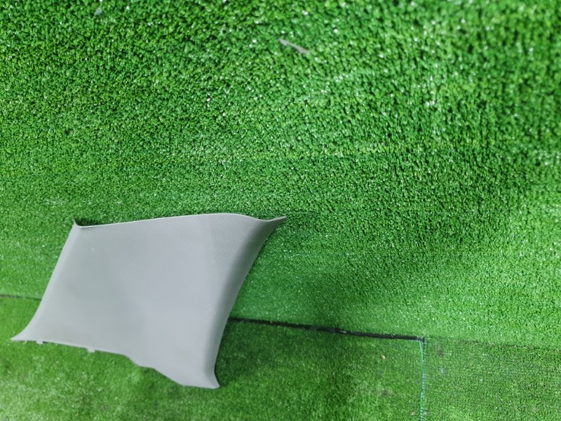 Накладка в салоне, 550 рублей, Фроловское