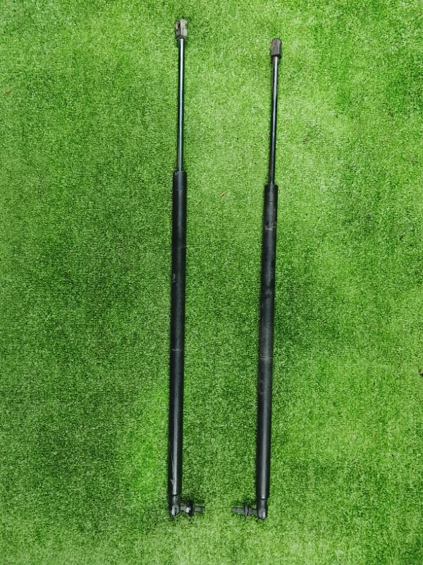 Амортизатор двери багажника, 1500 рублей, Фроловское