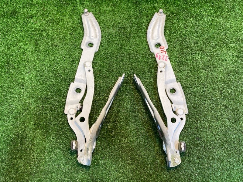 Петля капота, 1750 рублей, Фроловское