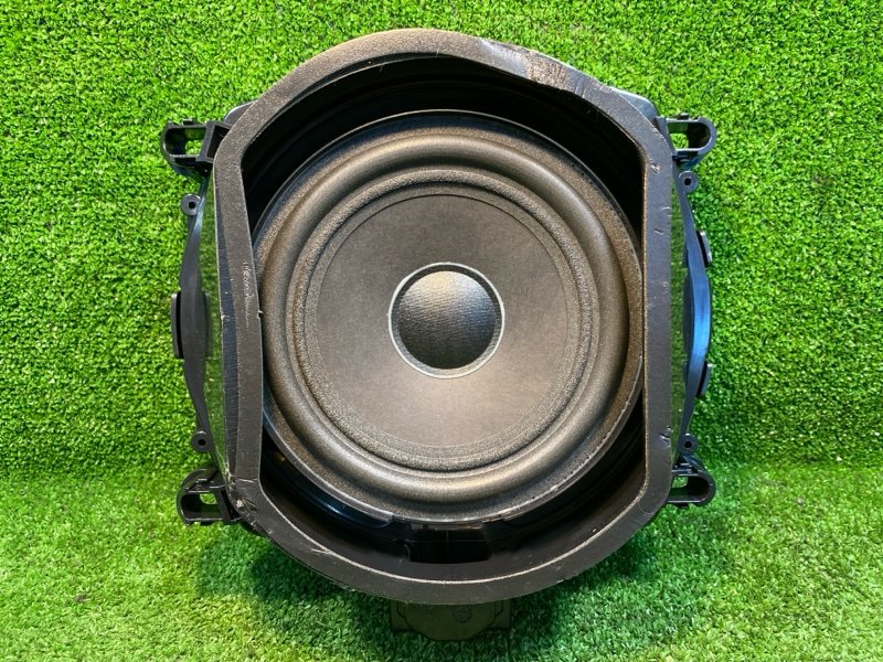 Динамик, 1500 рублей, Фроловское