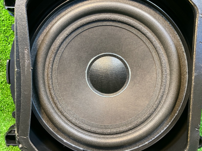 Динамик, 1500 рублей, Фроловское