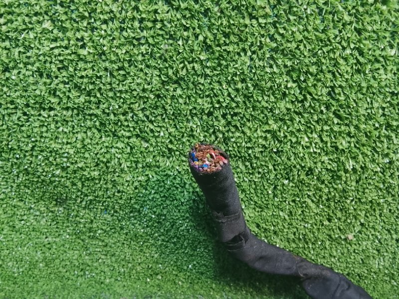 Разъем, 2500 рублей, Фроловское