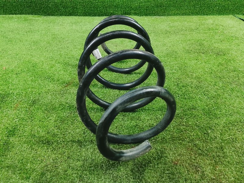 Пружина, 2500 рублей, Фроловское