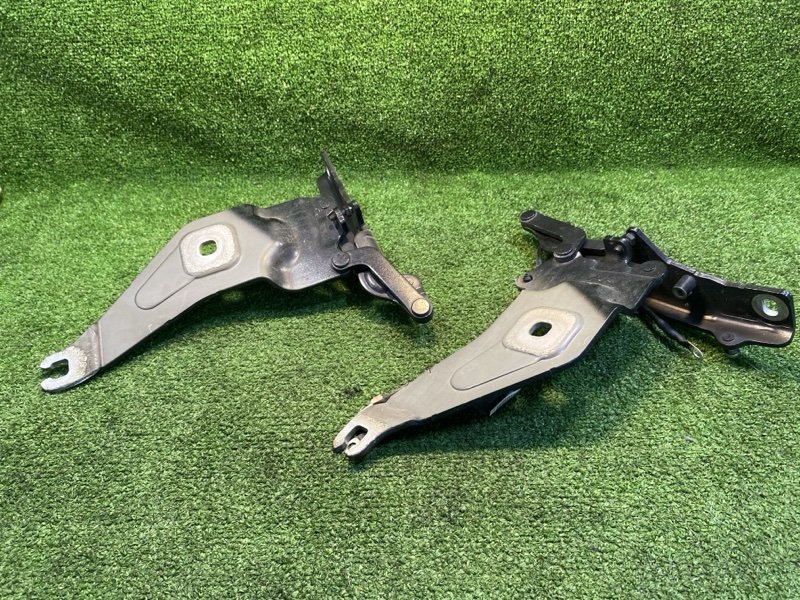 Петля капота, 2000 рублей, Фроловское