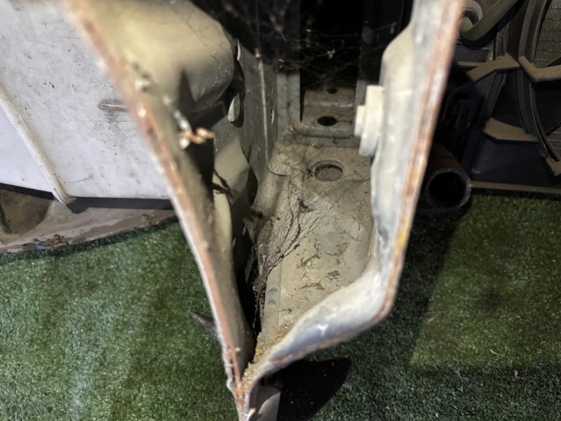 Nose cut, 135000 рублей, Фроловское