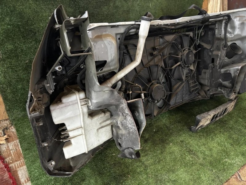 Nose cut, 135000 рублей, Фроловское