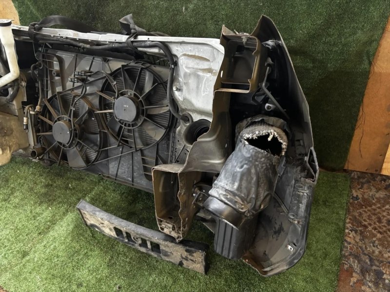 Nose cut, 135000 рублей, Фроловское