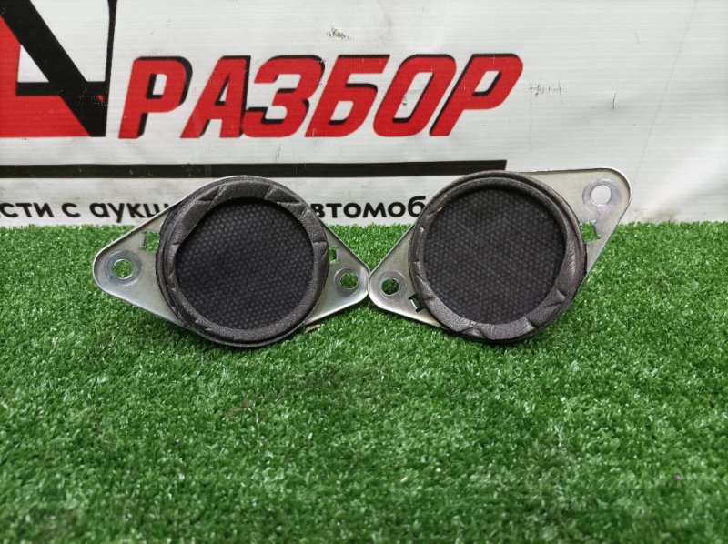 Динамик высокочастотный, 1000 рублей, Красноярск