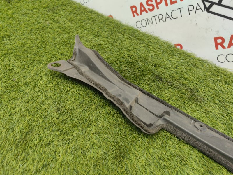 Пыльник крыла, 1000 рублей, Красноярск