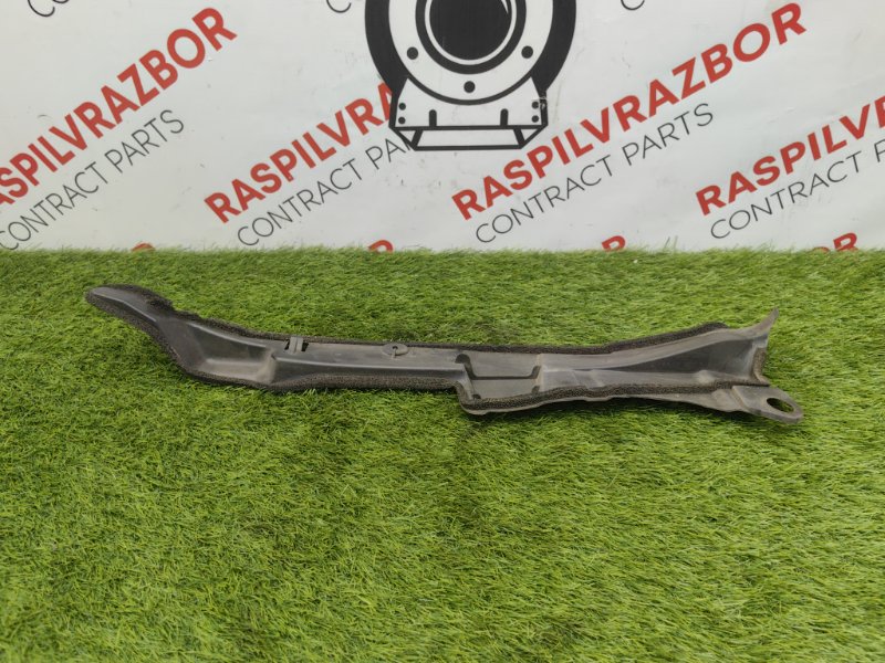 Пыльник крыла, 1000 рублей, Красноярск