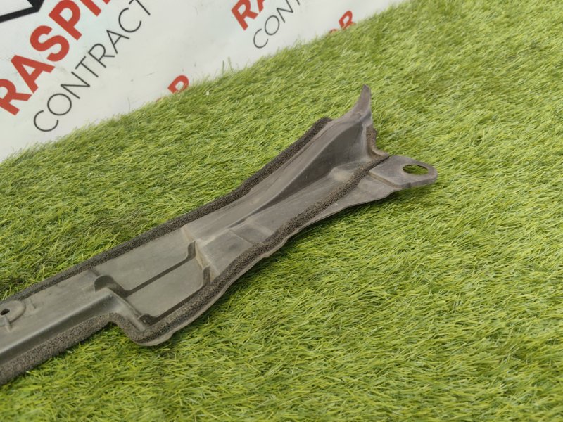 Пыльник крыла, 1000 рублей, Красноярск