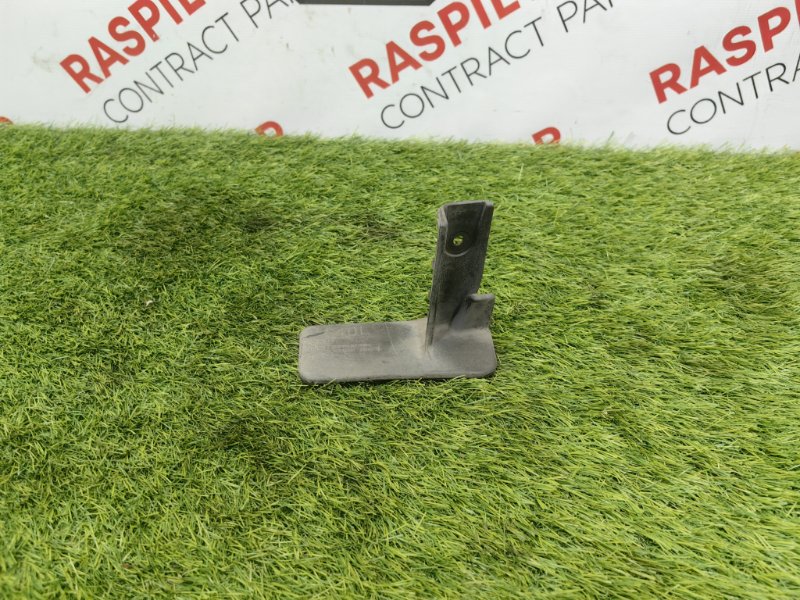 Брызговик, 1000 рублей, Красноярск