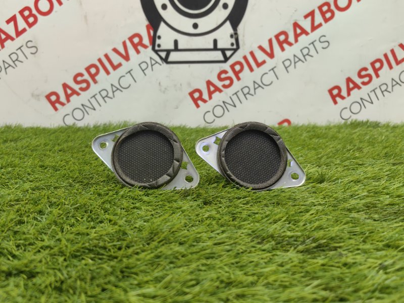 Динамик высокочастотный, 1000 рублей, Красноярск