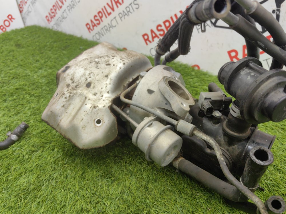 Турбина, 50000 рублей, Красноярск