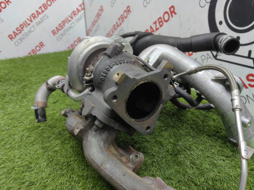 Турбина, 30000 рублей, Красноярск