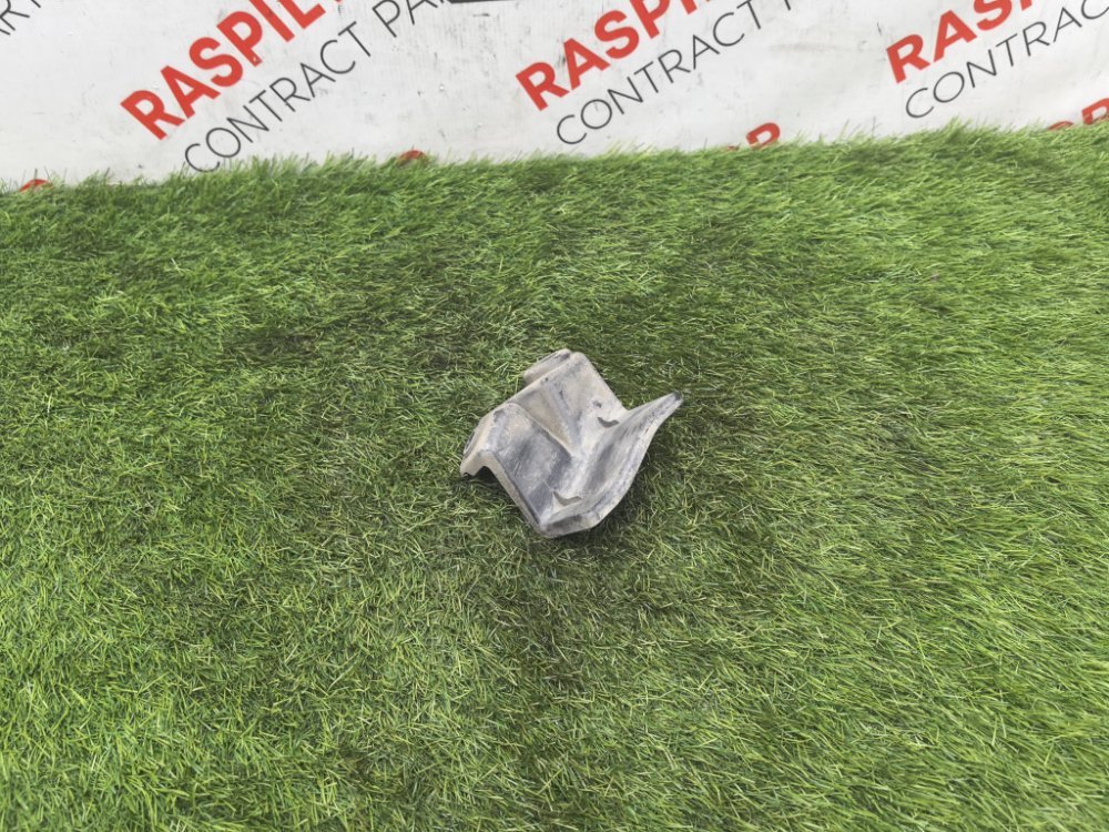 Брызговик, 1000 рублей, Красноярск