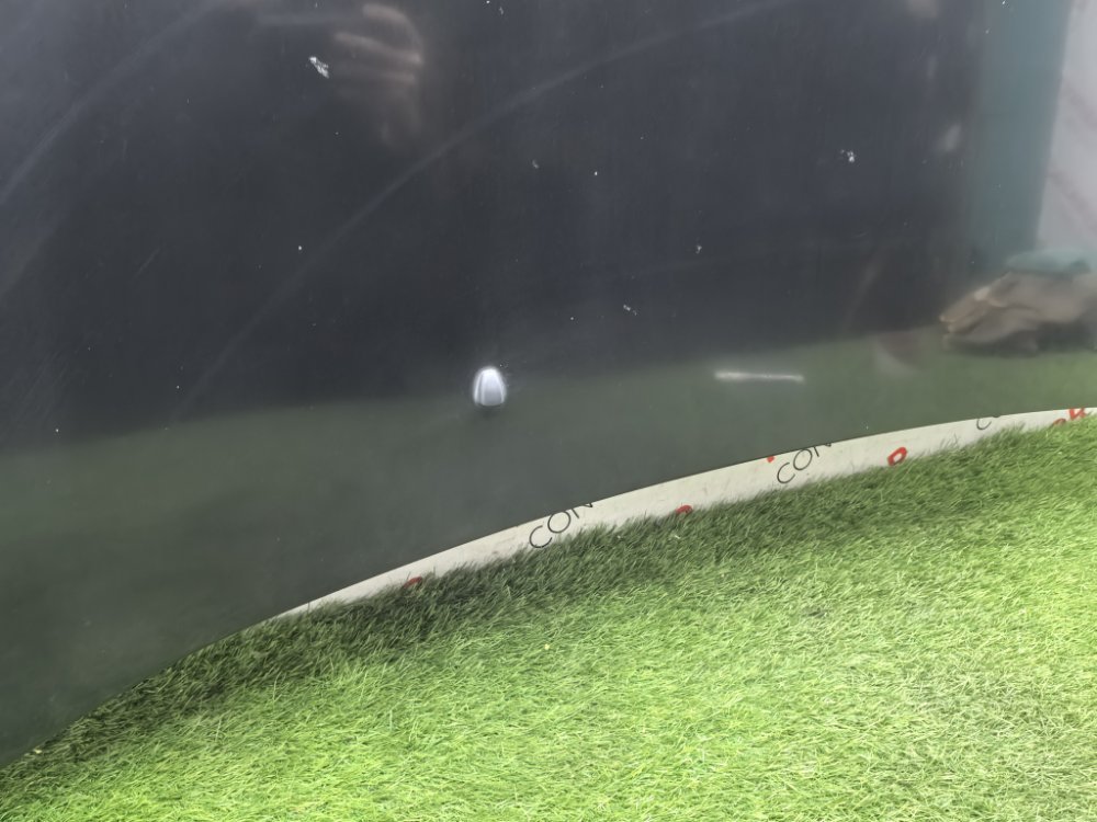 Капот, 7000 рублей, Красноярск