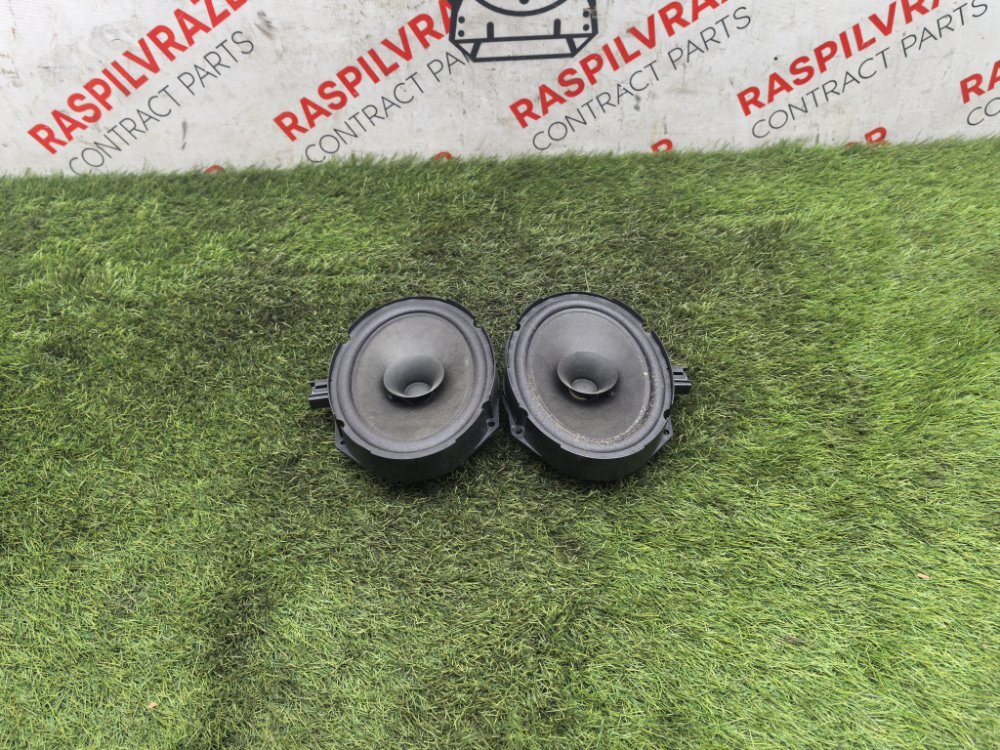 Динамик, 2000 рублей, Красноярск