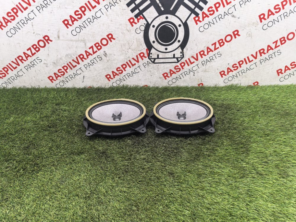 Динамик, 2000 рублей, Красноярск