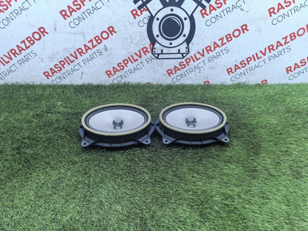 Динамик, 2000 рублей, Красноярск