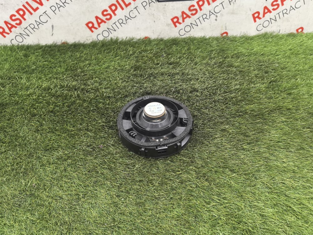 Динамик, 1000 рублей, Красноярск