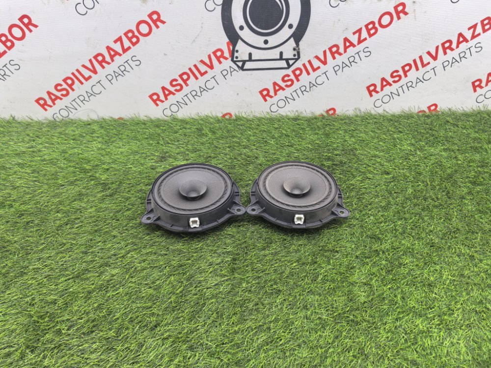 Динамик, 2000 рублей, Красноярск