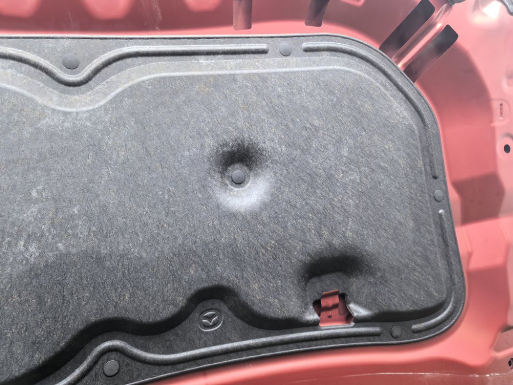 Капот, 50000 рублей, Красноярск