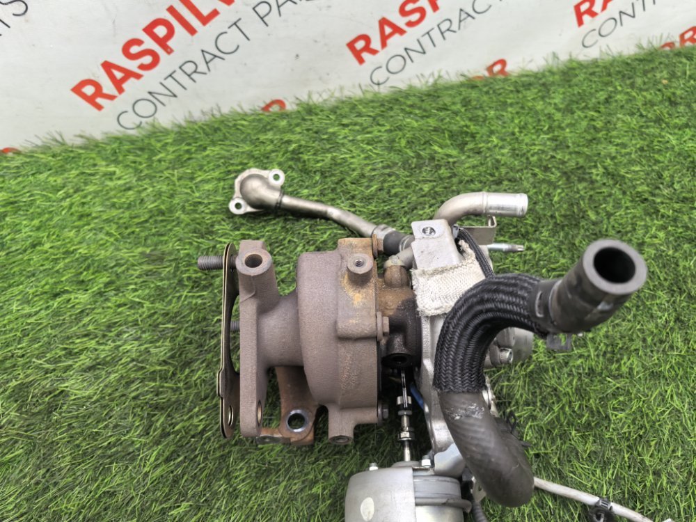 Турбина, 42000 рублей, Красноярск