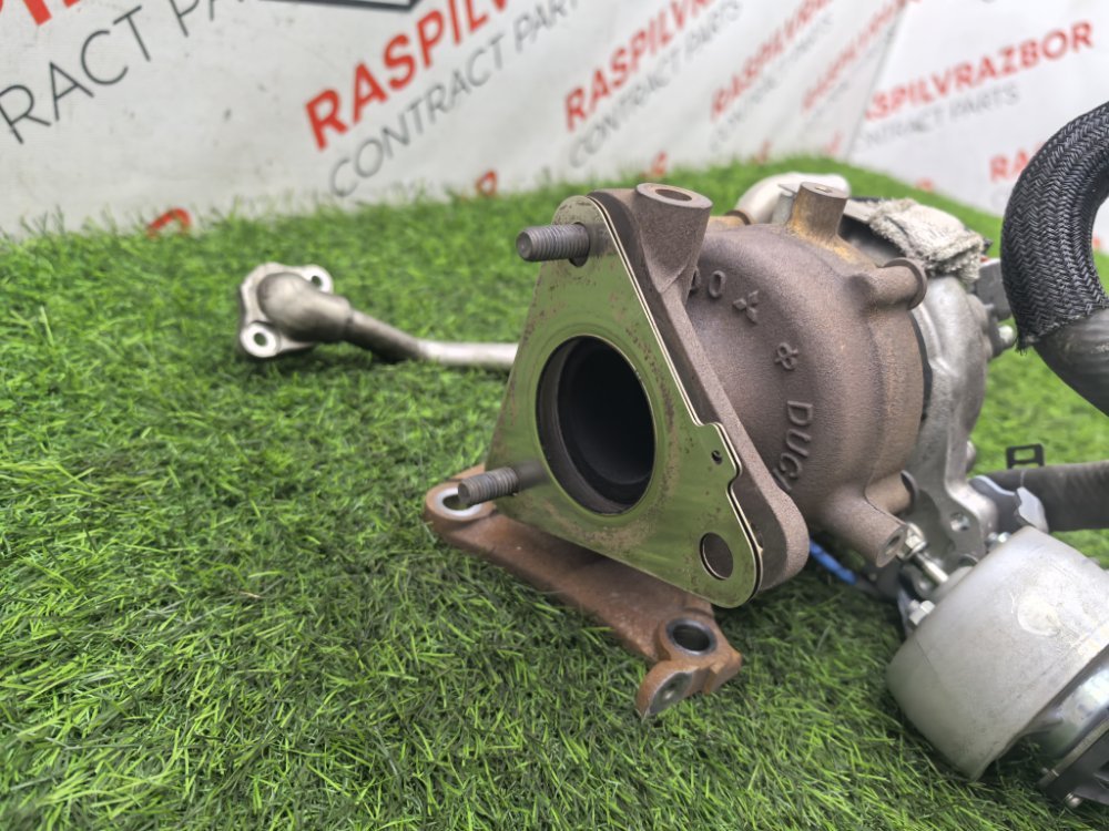 Турбина, 42000 рублей, Красноярск