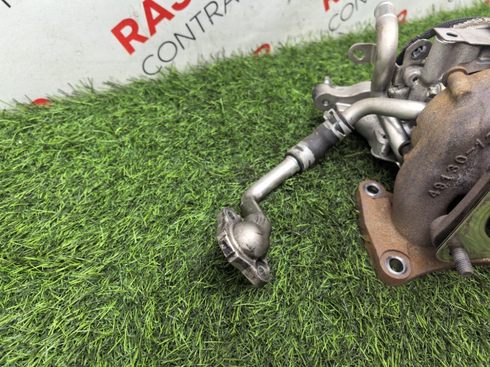 Турбина, 42000 рублей, Красноярск