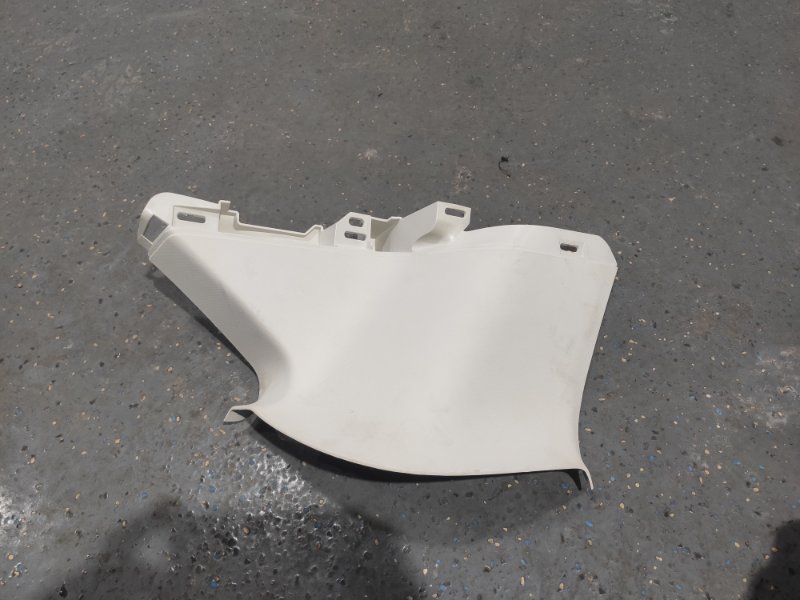 Накладка в салоне, 1000 рублей, Молоково