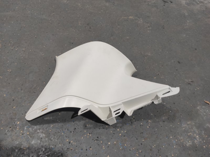 Накладка в салоне, 1000 рублей, Молоково