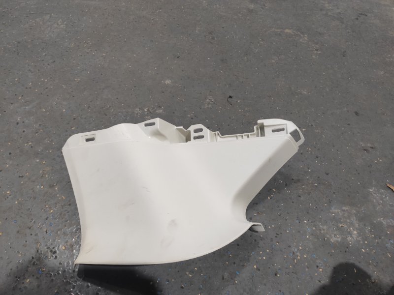 Накладка в салоне, 1000 рублей, Молоково