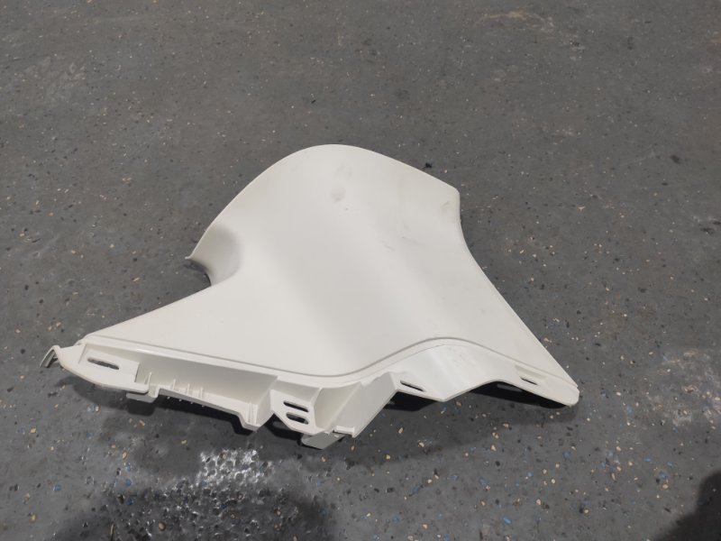 Накладка в салоне, 1000 рублей, Молоково