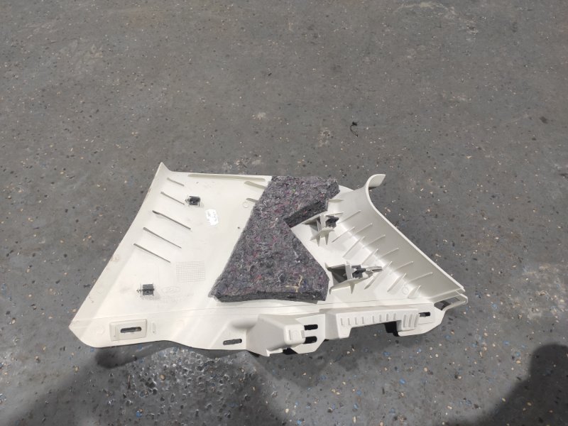 Накладка в салоне, 1000 рублей, Молоково