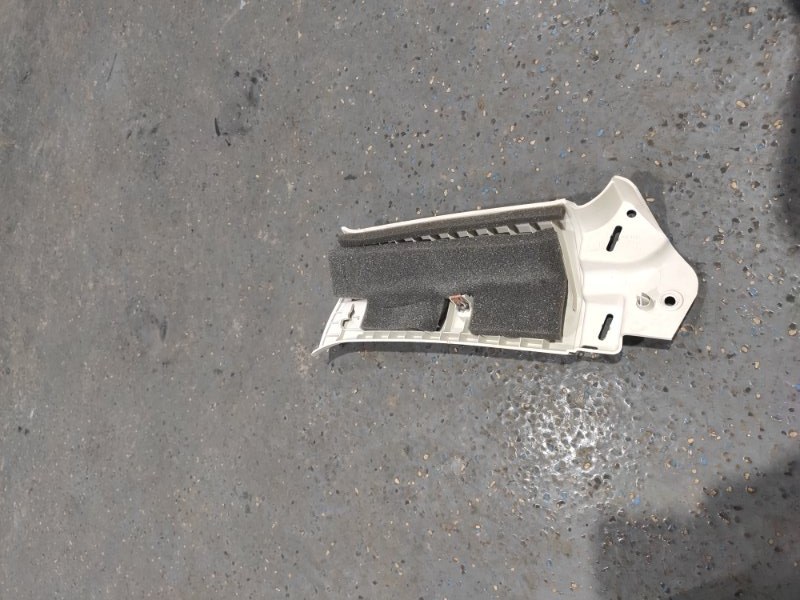 Накладка в салоне, 1000 рублей, Молоково