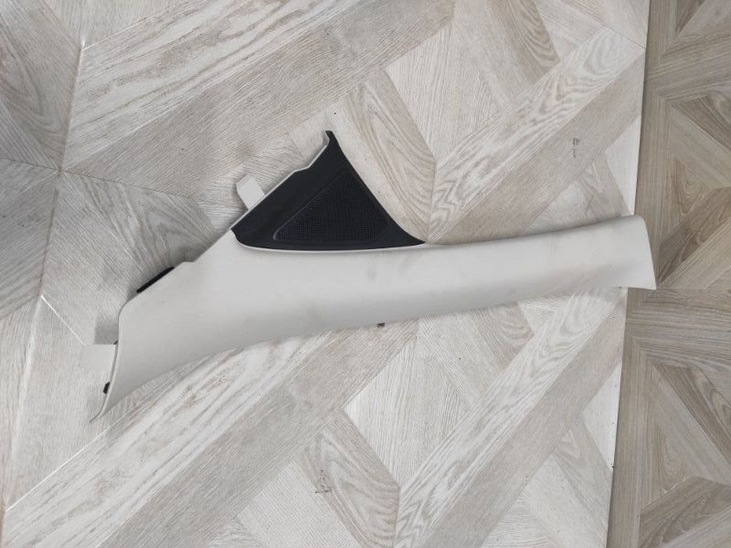 Накладка стойки лобового стекла, 1000 рублей, Молоково