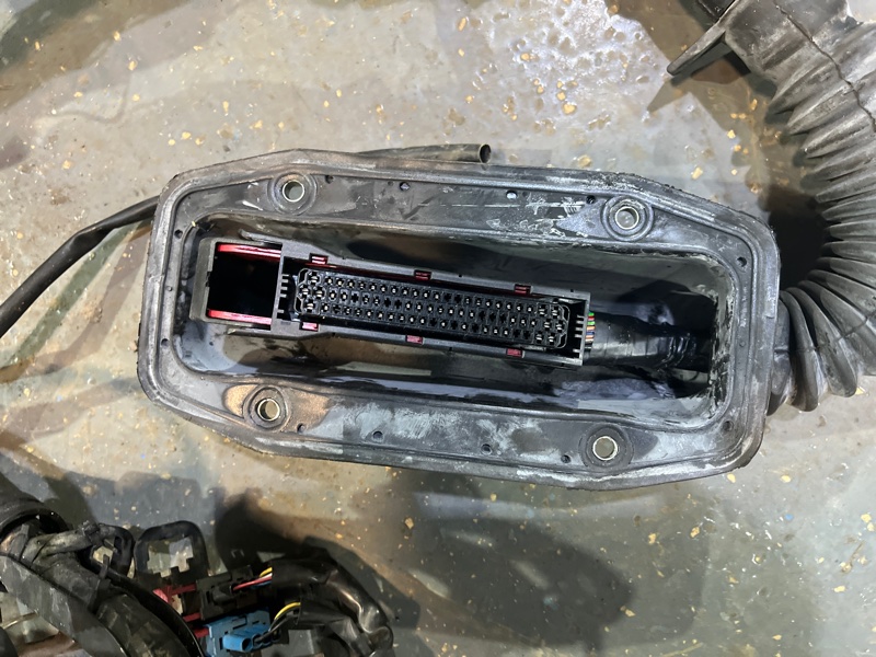 Проводка ДВС, 4500 рублей, Молоково