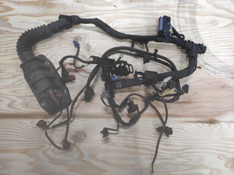 Проводка ДВС, 3500 рублей, Молоково